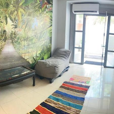 Vila Αρέθουσα Jungle Τριάρι 65Τμ. Chalkís Exteriér fotografie